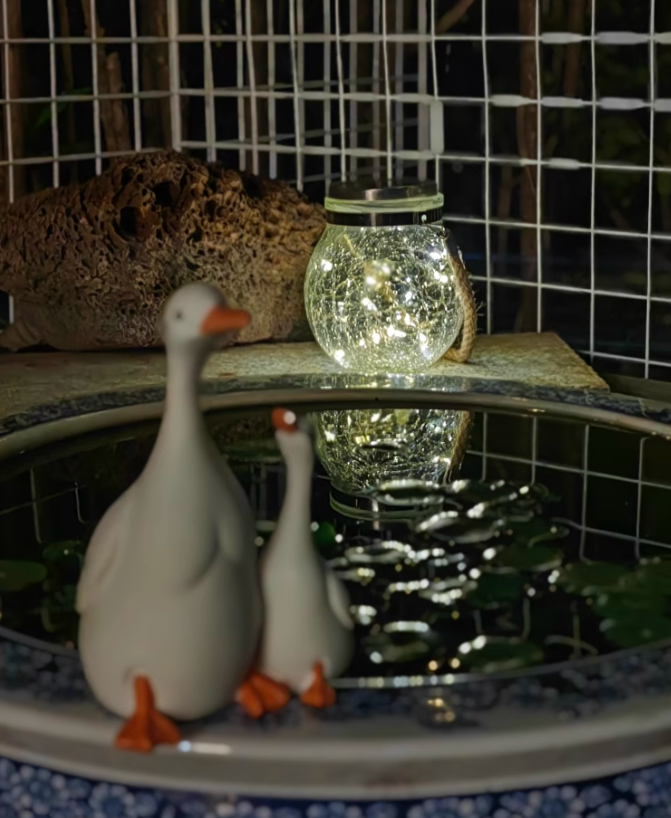 مواجهة ليلة شعرية! يضيء ضوء الجو الصغير ركنًا رومانسيًا صغيرًا